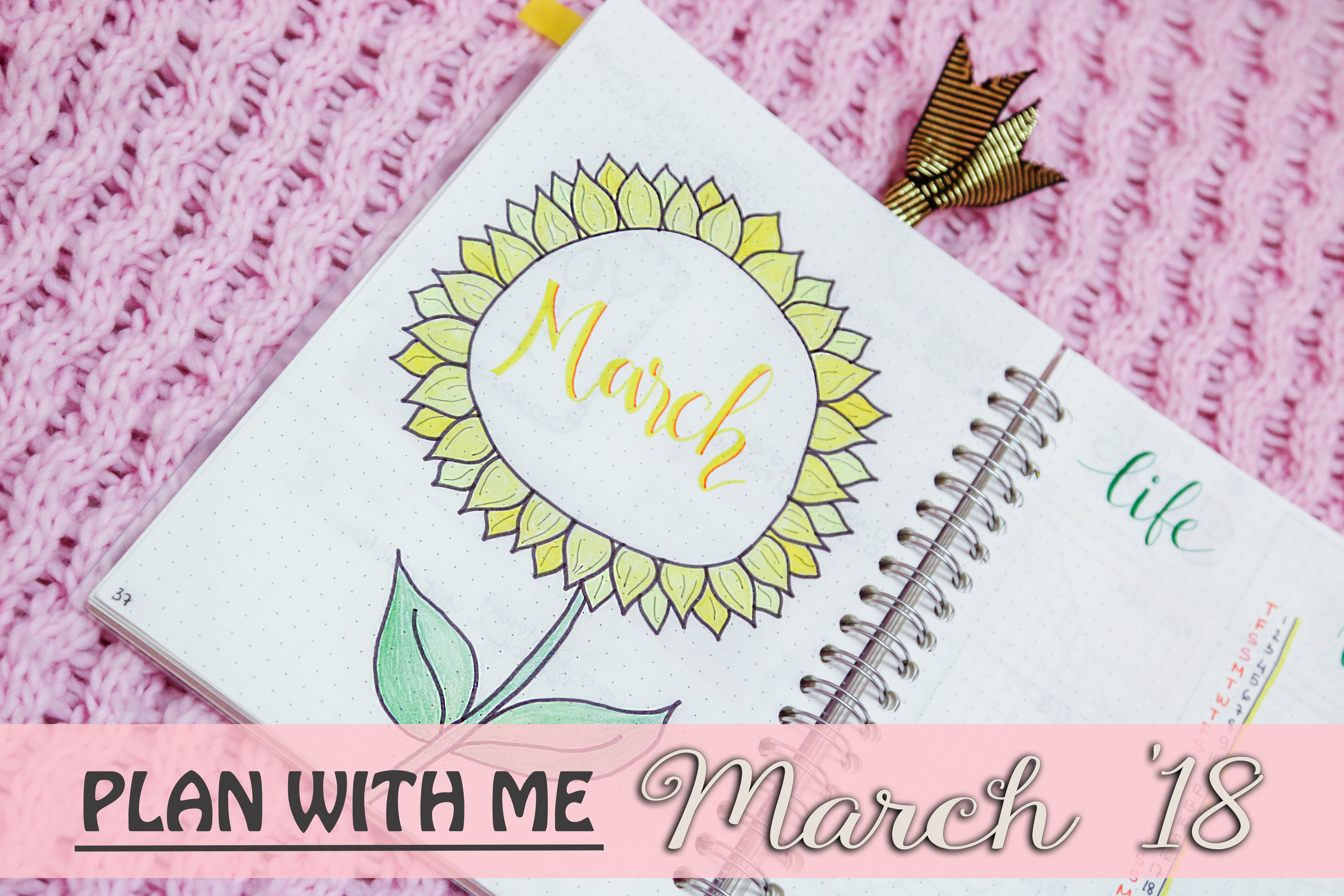 plan with me bullet journal march 2018