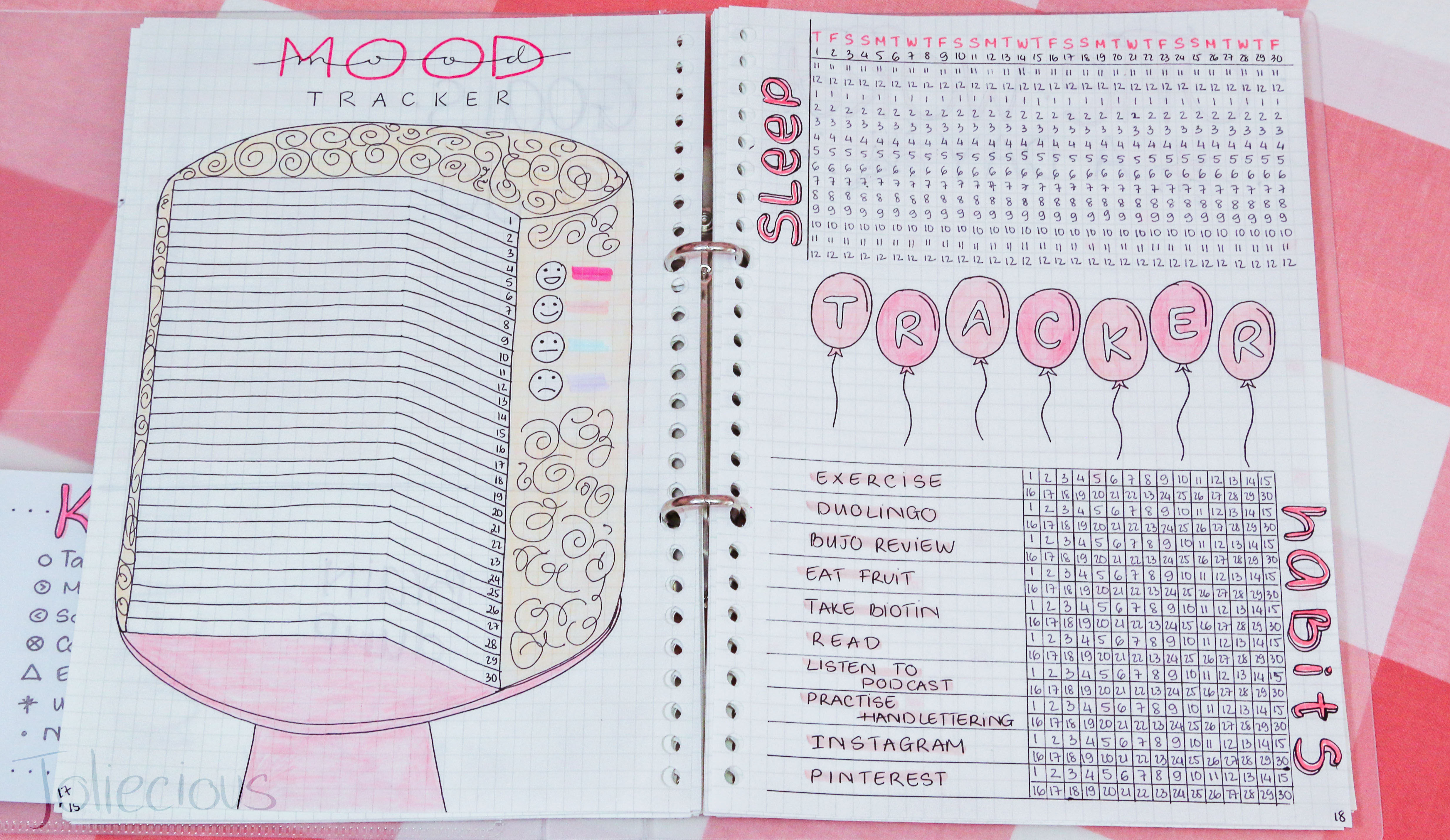 plan with me november bullet journal setup