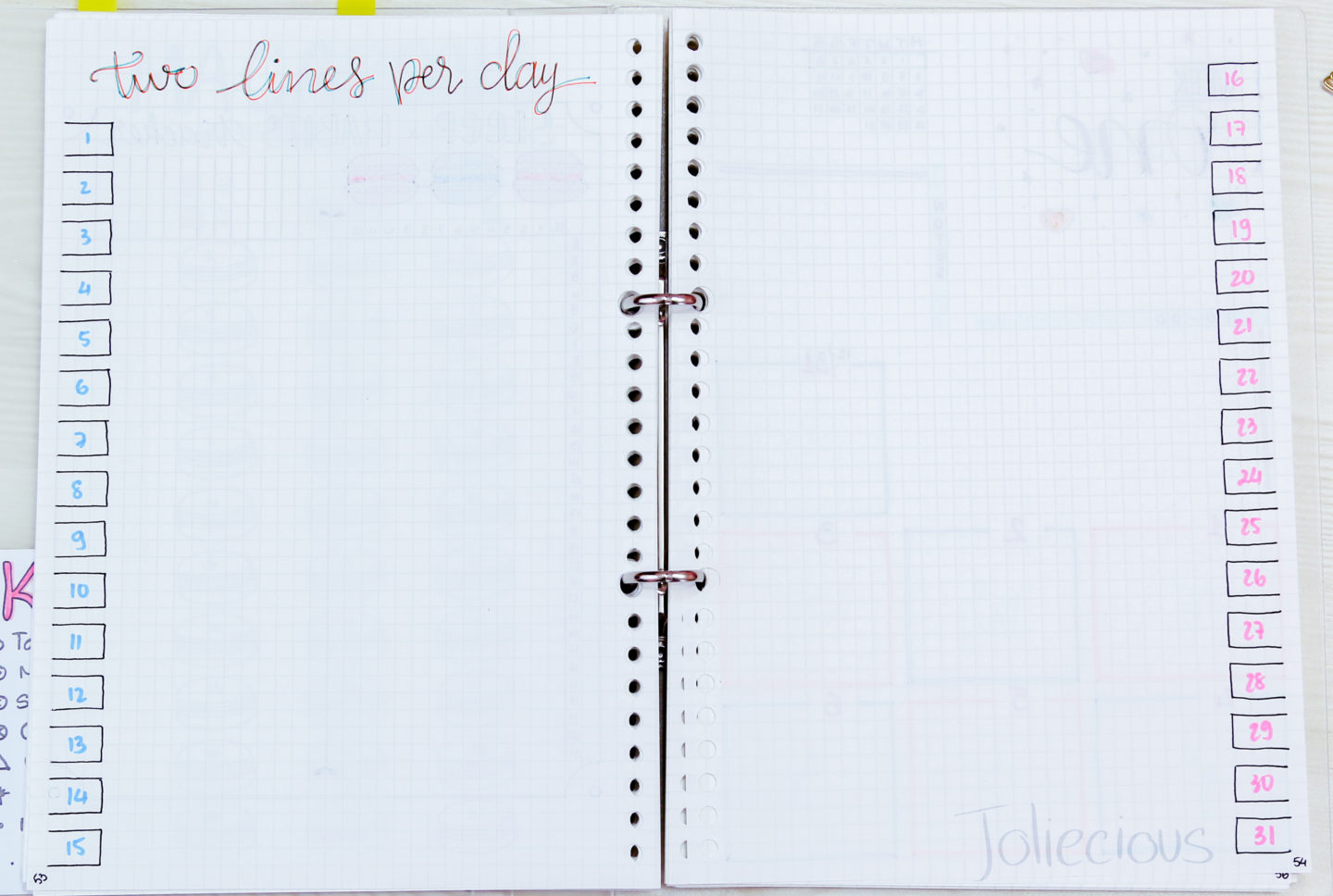 Plan with Me - 2019 January Bullet Journal Setup