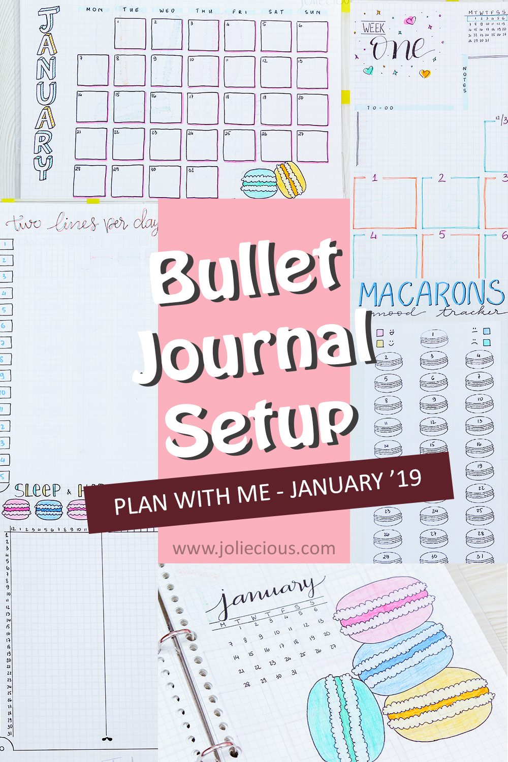 Plan with Me - 2019 January Bullet Journal Setup