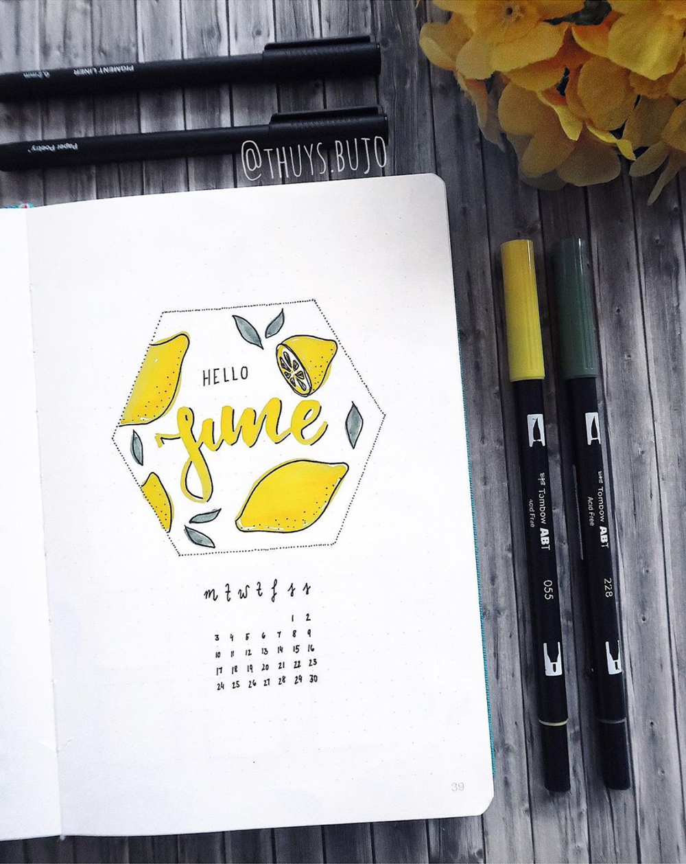 June bullet journal cover page